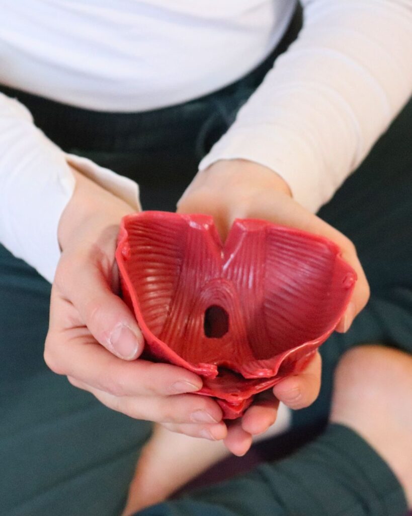 Auch bei ernsten Beckenboden-Verletzungen wie einer Levator Avulsion kann Beckenboden-Yoga helfen.